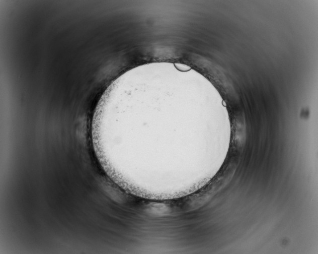 X0000103420519200810241037