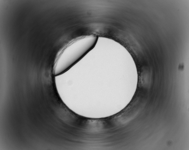 X0000103420520200810241037