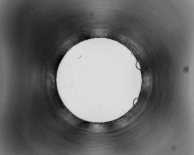 X0000103420522200810241037