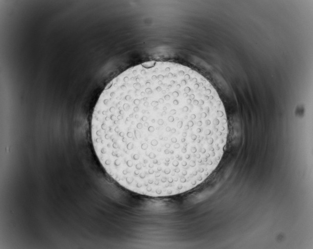 X0000103420523200810241037