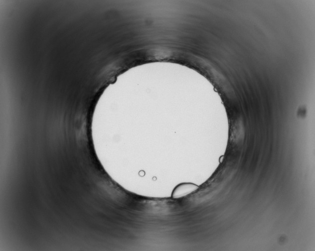 X0000103420524200810241037