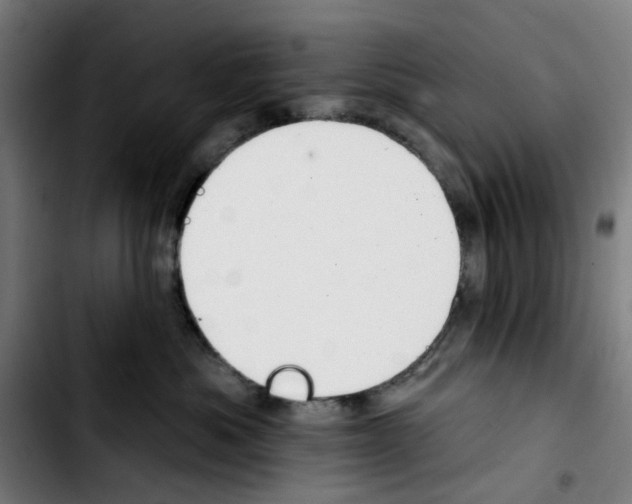 X0000103420525200810241037