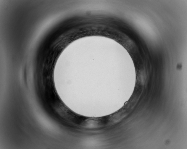 X0000103420526200810241037