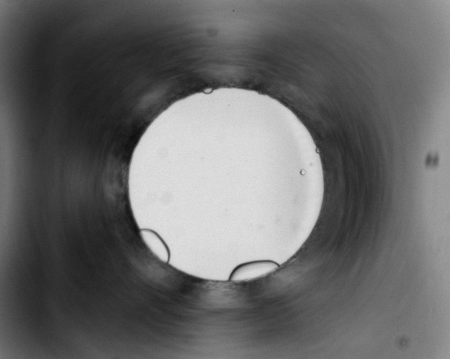 X0000103420528200810241037