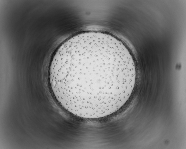X0000103420529200810241036