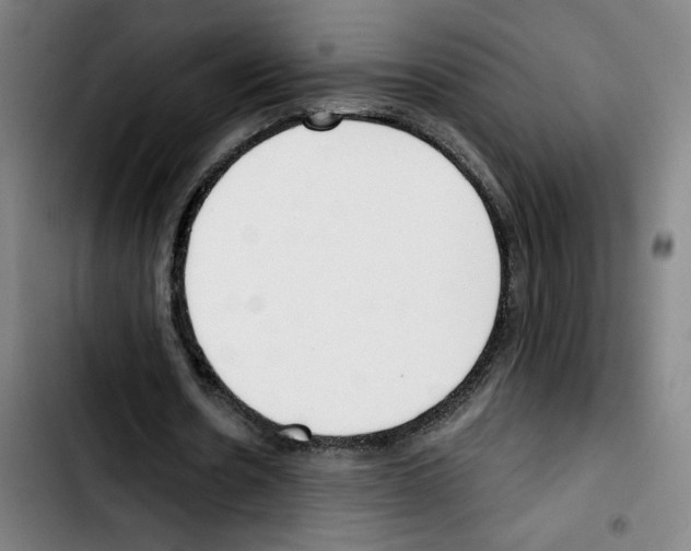 X0000103420530200810241036