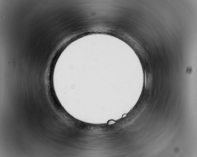 X0000103420531200810241036