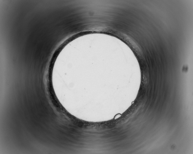 X0000103420532200810241036