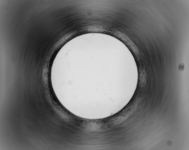 X0000103420533200810241036