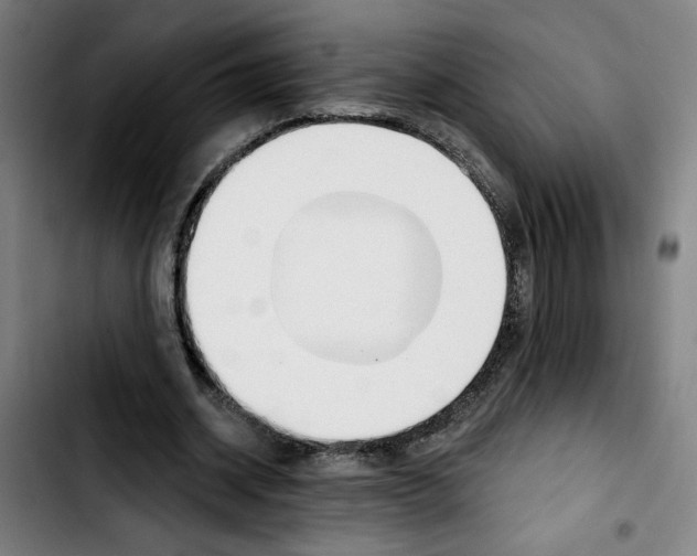 X0000103420534200810241036