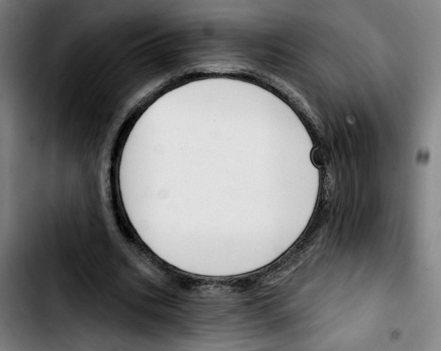 X0000103420535200810241036