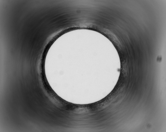 X0000103420536200810241036