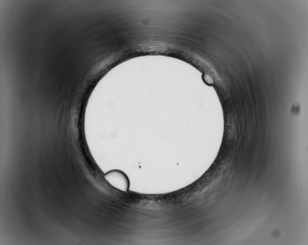 X0000103420538200810241036