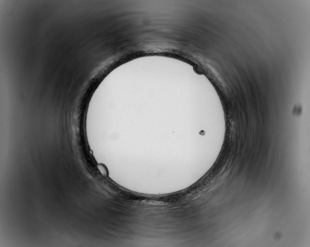 X0000103420539200810241036