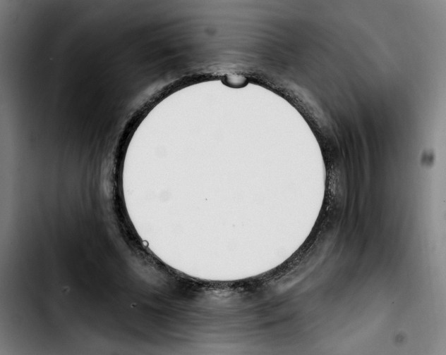 X0000103420540200810241037