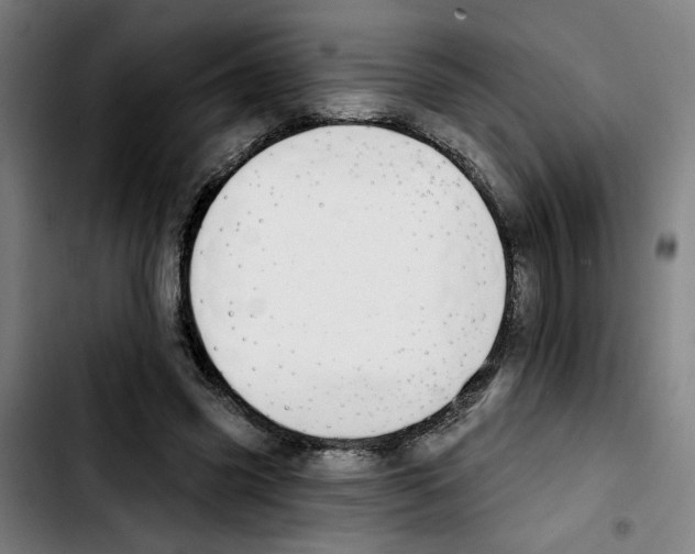 X0000103420541200810241037