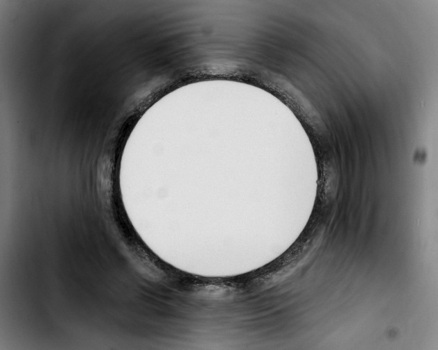 X0000103420542200810241037