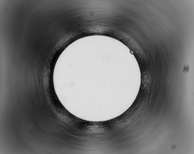 X0000103420544200810241037