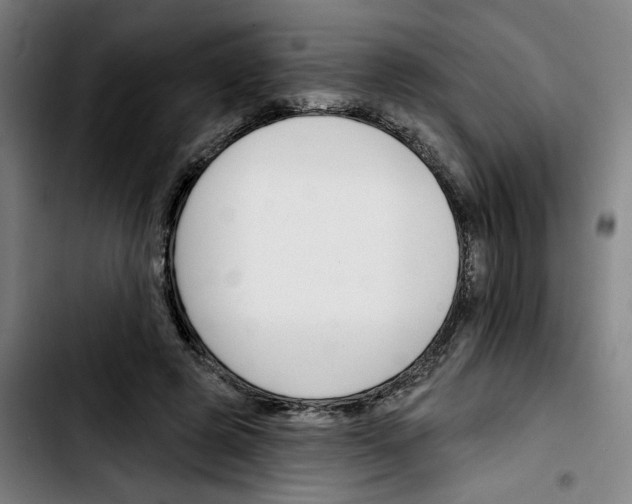 X0000103420545200810241037