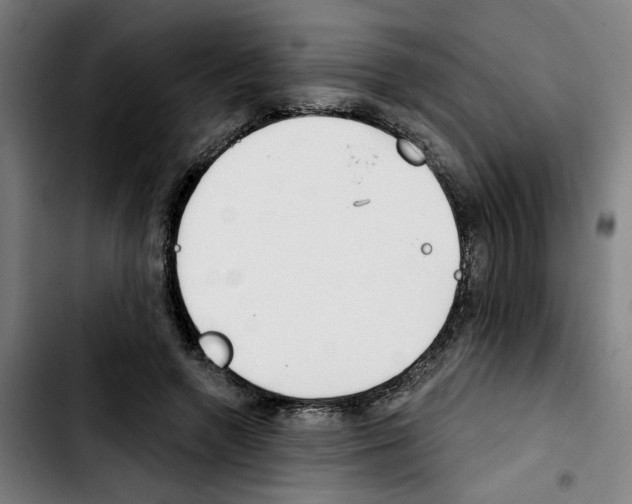 X0000103420546200810241037