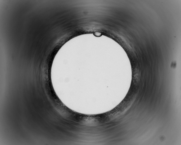 X0000103420547200810241037
