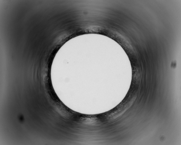 X0000103420548200810241037