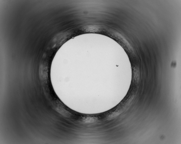 X0000103420549200810241037