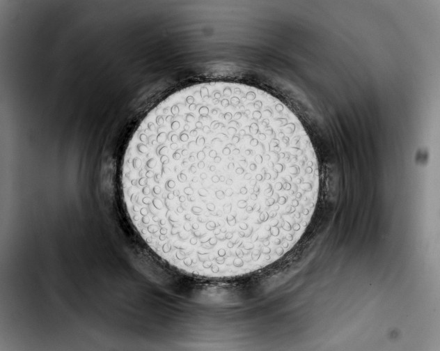 X0000103420550200810241037