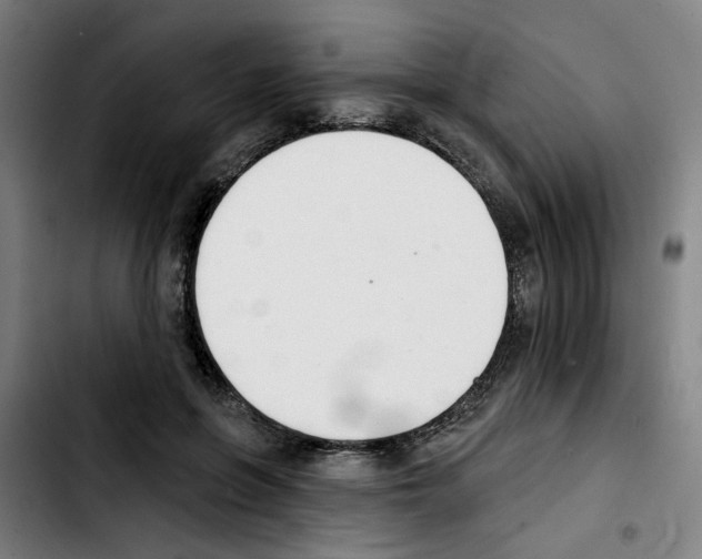 X0000103420551200810241037