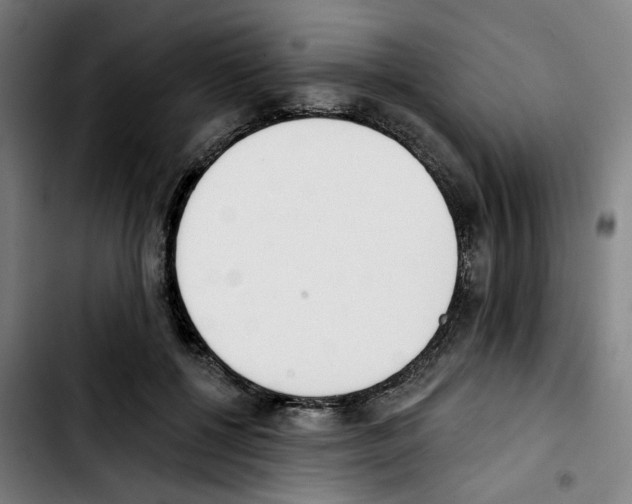 X0000103420552200810241037