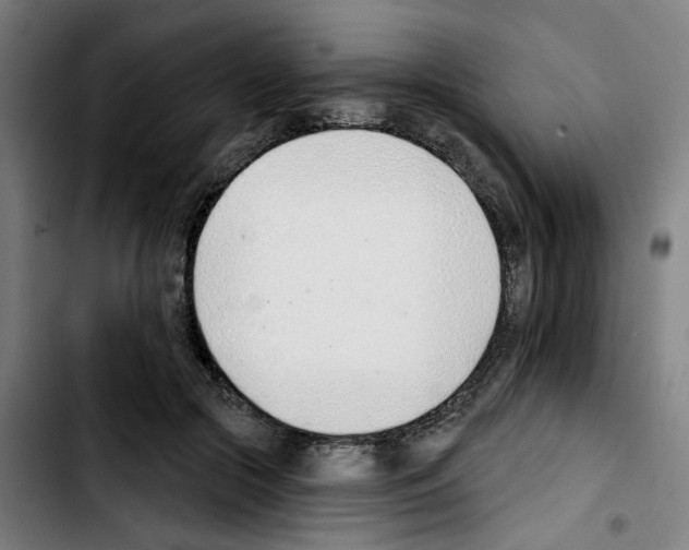 X0000103420553200810241037