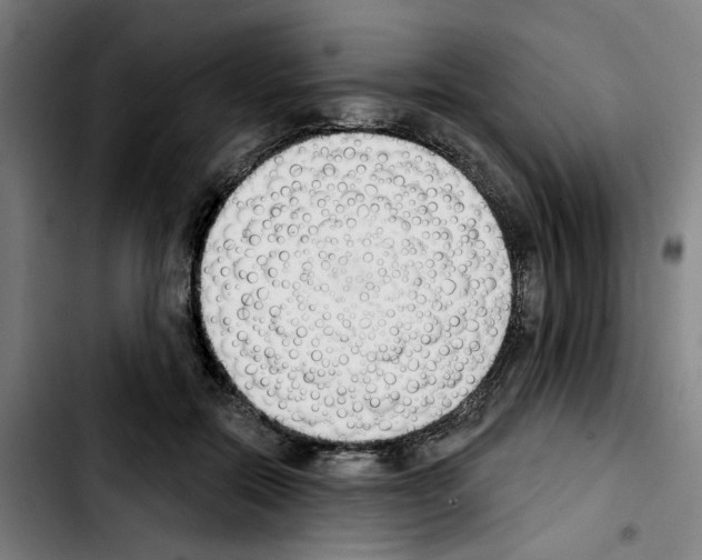 X0000103420554200810241037