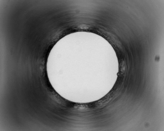 X0000103420559200810241037
