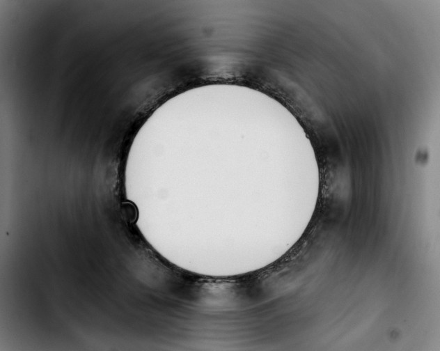 X0000103420560200810241037