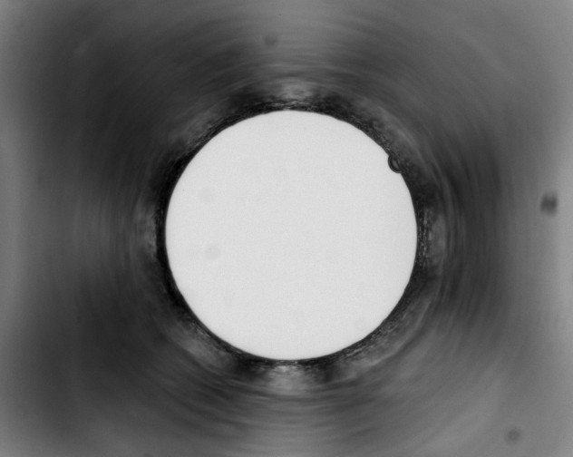 X0000103420562200810241037