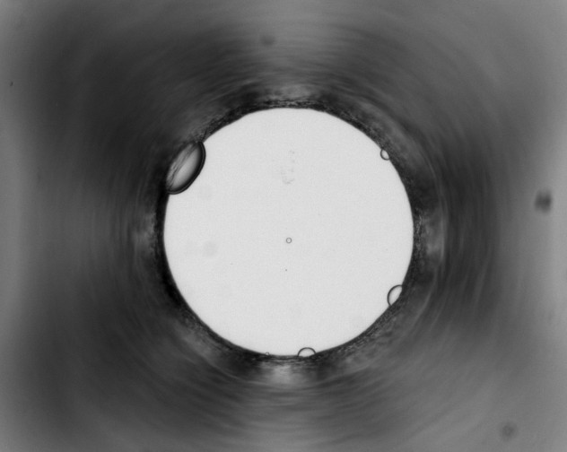 X0000103420564200810241037