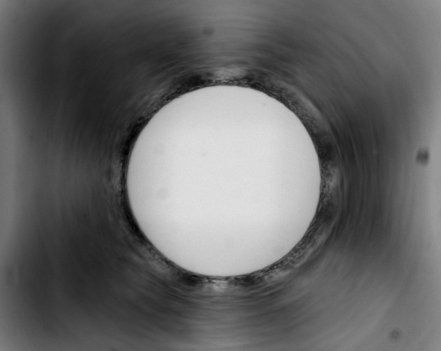 X0000103420565200810241037