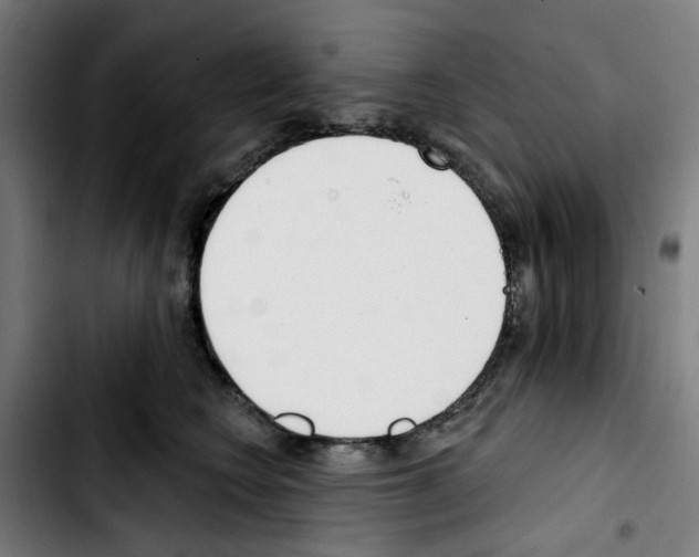 X0000103420566200810241037