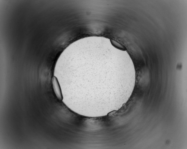 X0000103420568200810241037