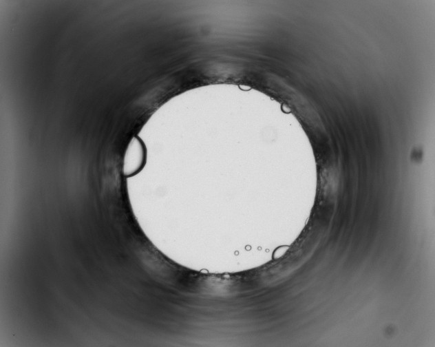 X0000103420570200810241037