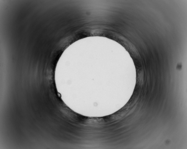 X0000103420571200810241037