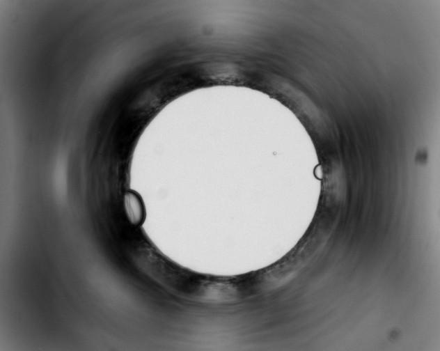 X0000103420572200810241037