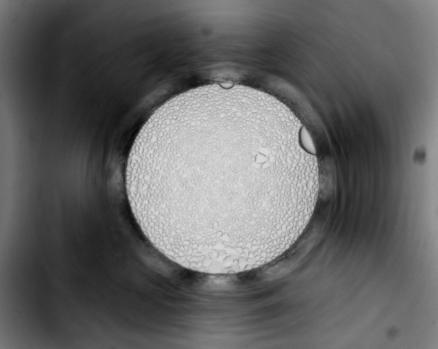 X0000103420573200810241037