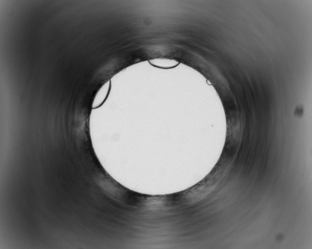 X0000103420574200810241037