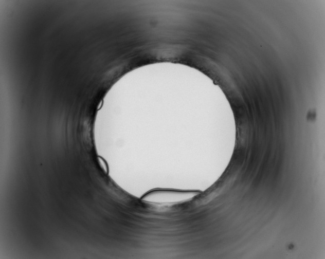 X0000103420575200810241037