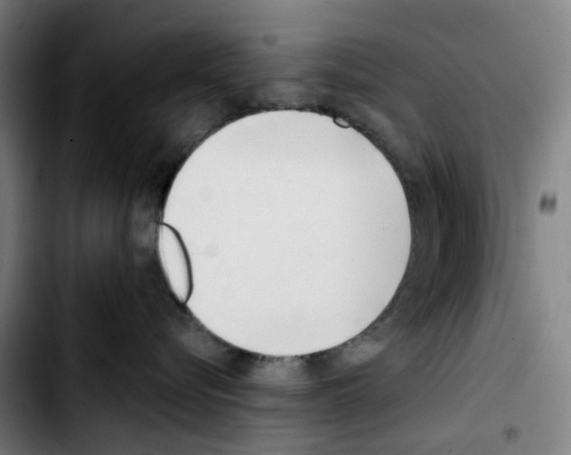X0000103420576200810241037
