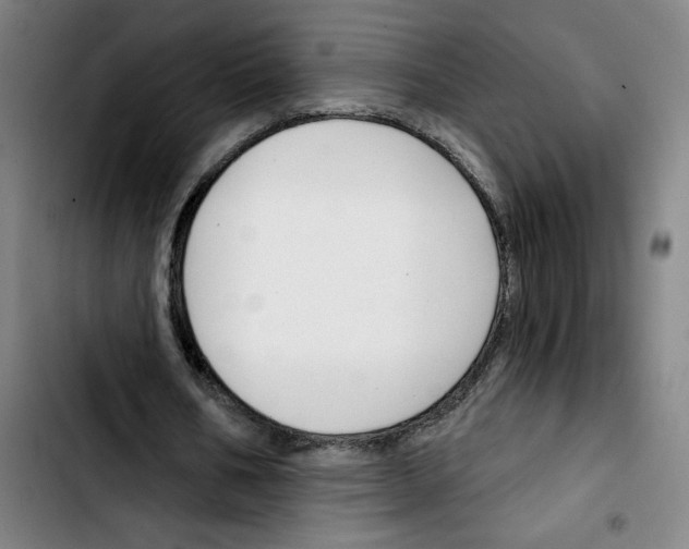 X0000103420578200810241036