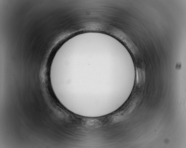 X0000103420579200810241036