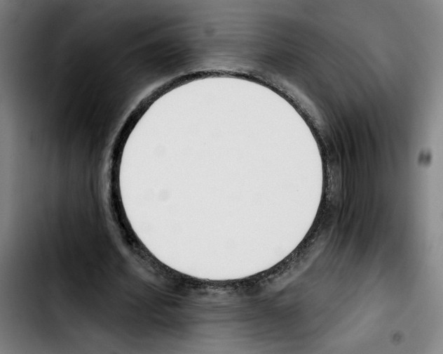 X0000103420580200810241036