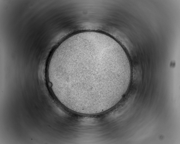 X0000103420581200810241036